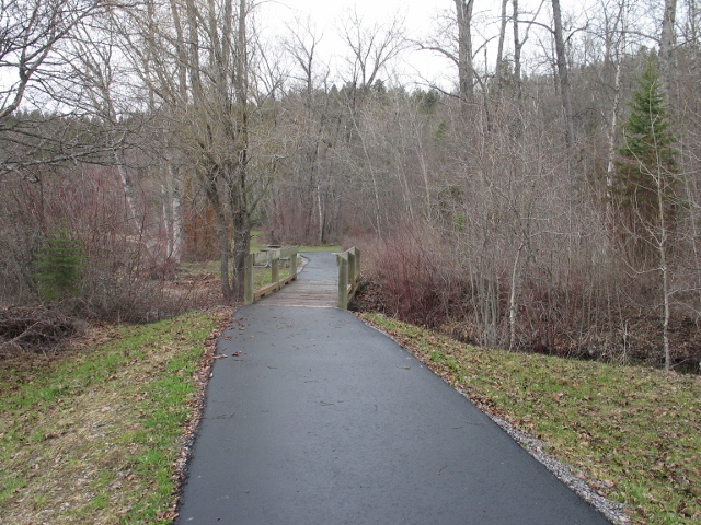picture showing Typical trail found throughout the Swan Lake Camground and Day Use Area.